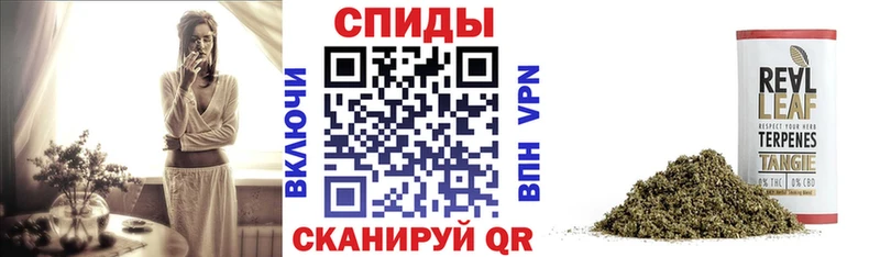 kraken вход  Фатеж  Бутират вода 