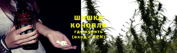 дживик Наволоки
