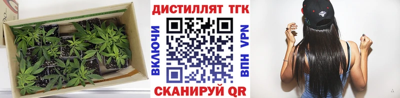 продажа наркотиков  Фатеж  mega зеркало  ТГК гашишное масло 