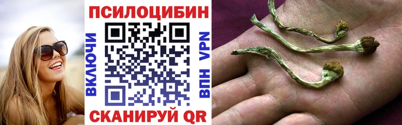 купить наркотики сайты  Фатеж  Галлюциногенные грибы Psilocybe 